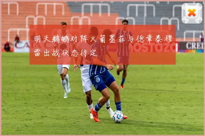 明天鹈鹕对阵火箭墨菲与德章泰穆雷出战状态待定