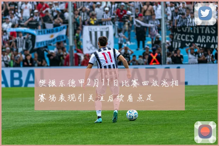 樊振东德甲2月11日比赛回放亮相 赛场表现引关注后续看点足