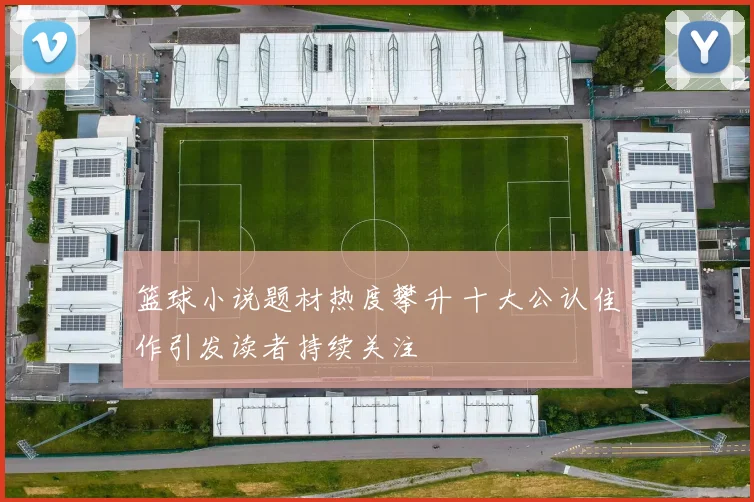 篮球小说题材热度攀升 十大公认佳作引发读者持续关注